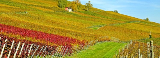 Grand-Tour-dell-Amarone-in-Valpolicella