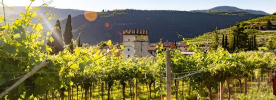 Visita al Borgo di Soave con Degustazione di vino