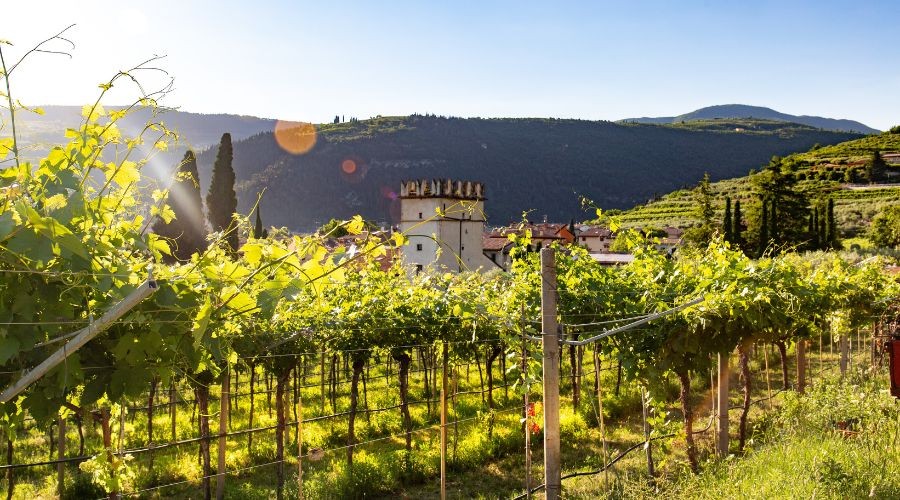 Visita al Borgo di Soave | Soave Borgo Tour