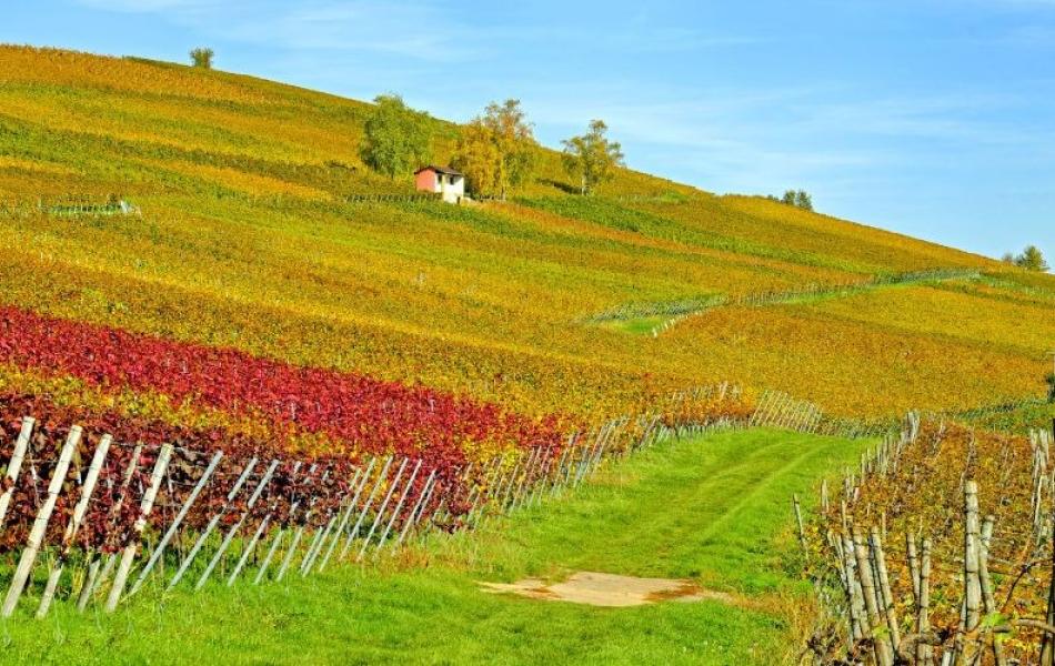 Grand Tour dell’Amarone | Amarone Grand Tour