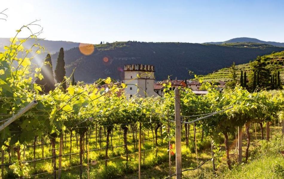Visita al Borgo di Soave | Soave Borgo Tour
