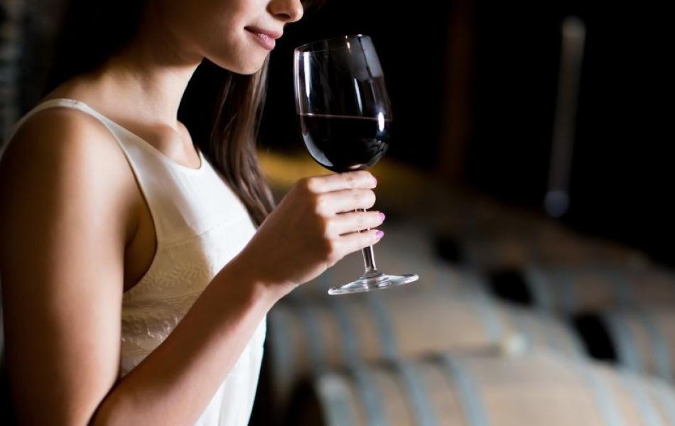Visite cantine dell'Amarone | Tours of Amarone wineries