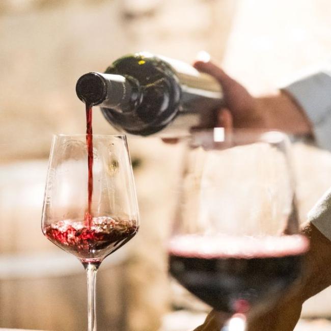 I vini del territorio | The local wines