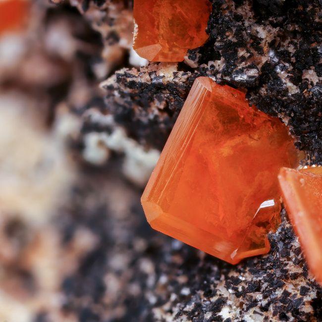 Verona Mineral Show