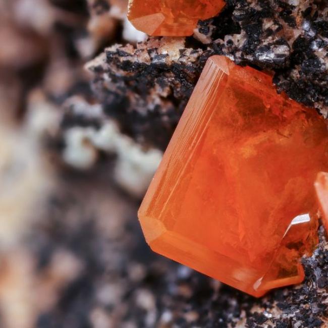 Verona Mineral Show