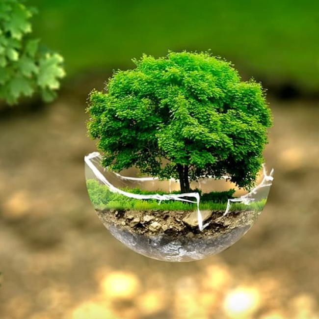 eco friendly
