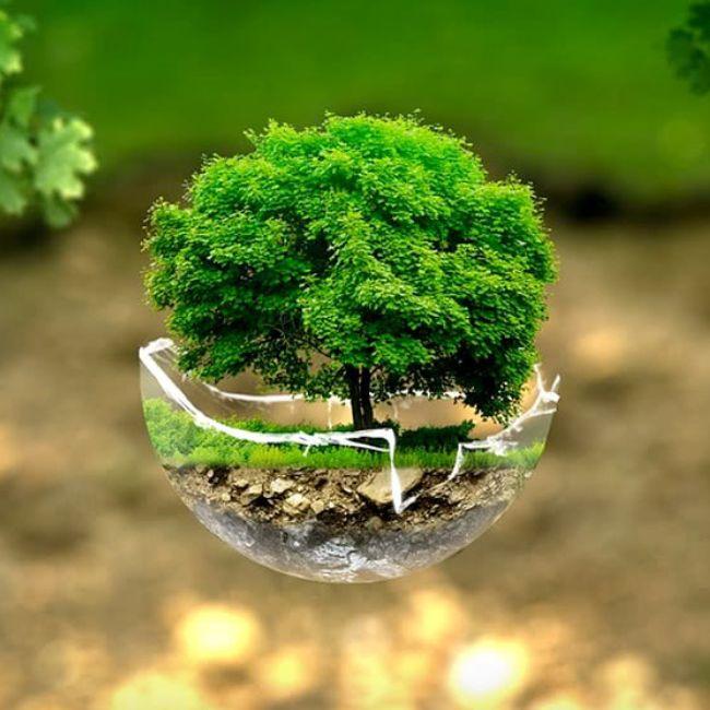 Sostenibilità | Sustainability